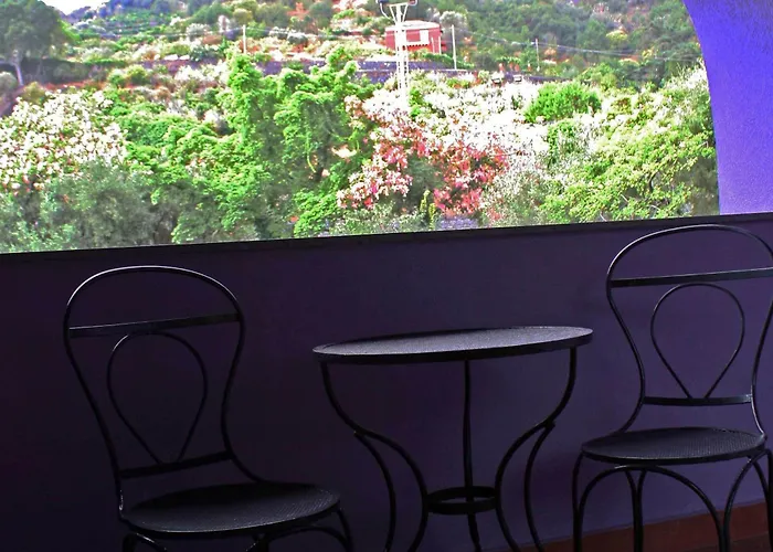 酒店 圣特克拉皇宫酒店 阿奇雷亚莱