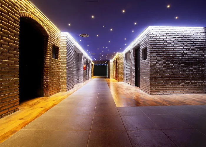 圣特克拉皇宫酒店 酒店 4*